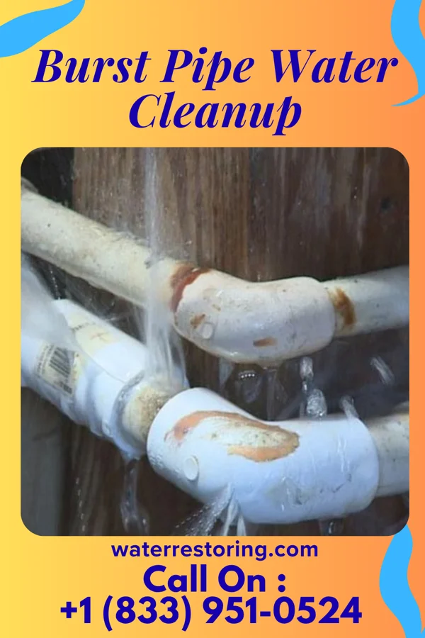 Burst Pipe Water Cleanup in Swoyersville, PA
