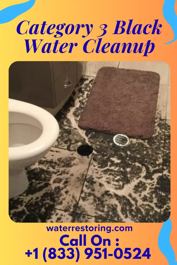 Category 3 Black Water Cleanup in Swoyersville, PA