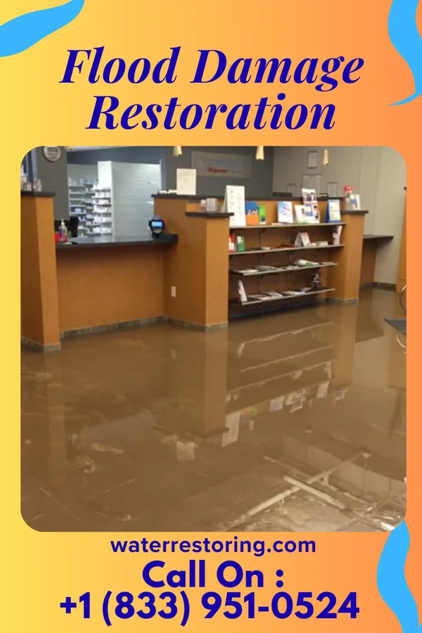 Flood Damage Restoration in Swoyersville, PA