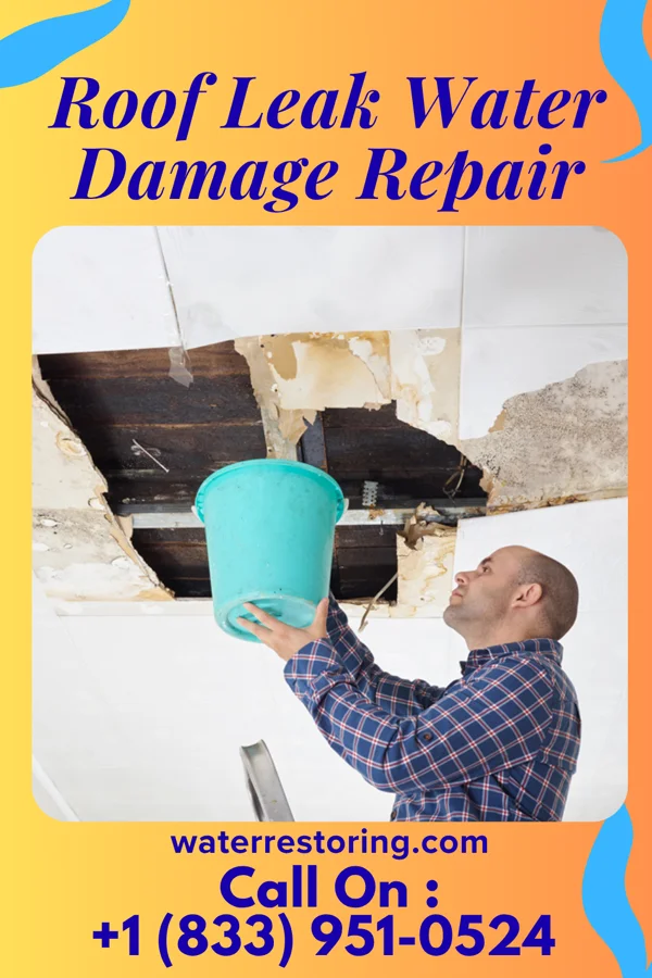 Roof Leak Water Damage Repair in Swoyersville, PA