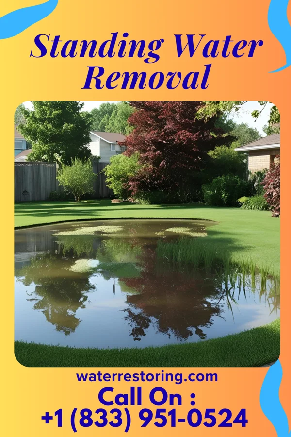 Standing Water Removal in Swoyersville, PA